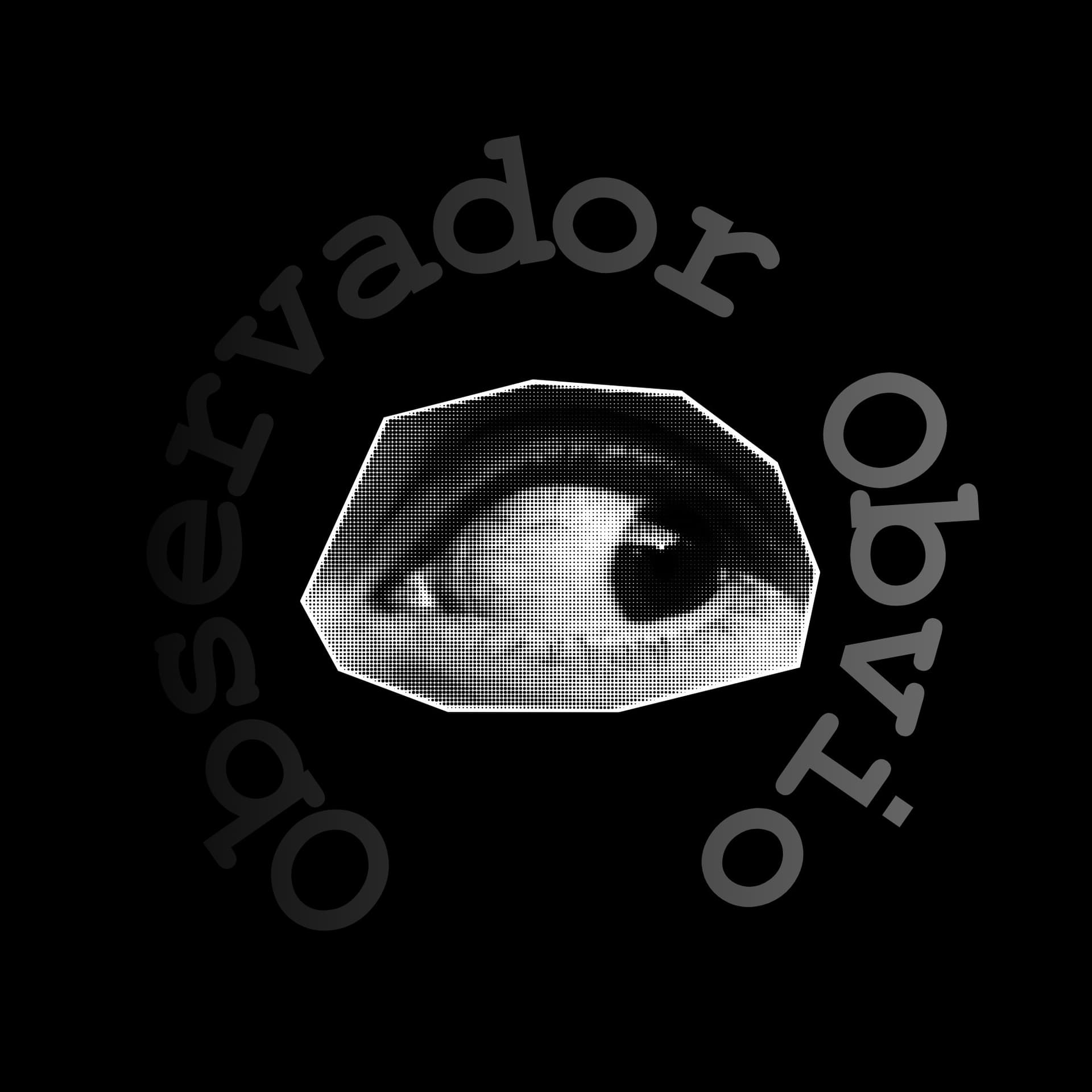 Observador Obvio